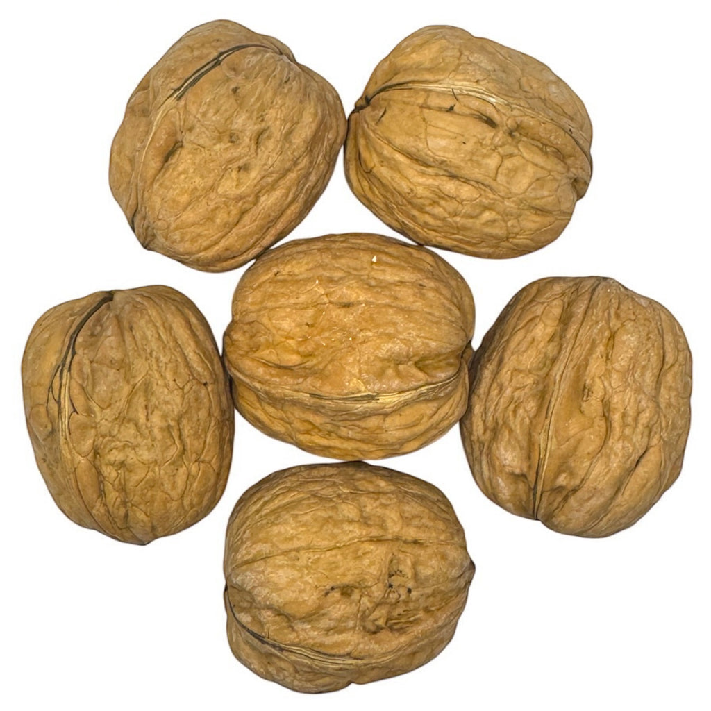 Shelled Walnuts 1kg