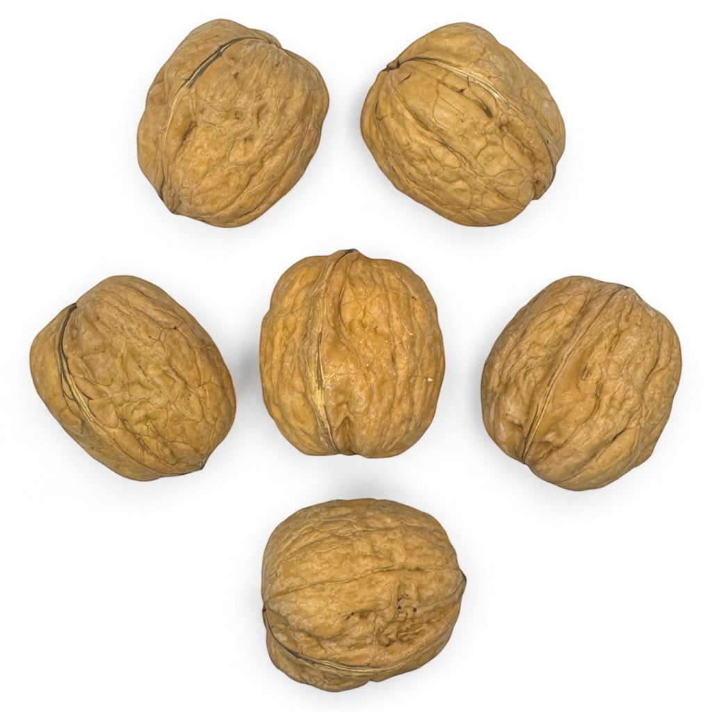 Shelled Walnuts 1kg